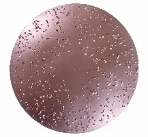 HMT brusne ploče, promjer 230mm, srednje br. 606 za ROKAMAT TITANO/HERON, Z606