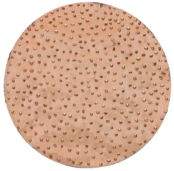 HMT brusne ploče, promjer 200mm, srednje za ROKAMAT CHAMELEON/CHAMELEON CX po paru, Z23205